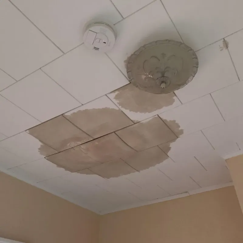 Ceiling Water Damage Repair in Monroe, NC