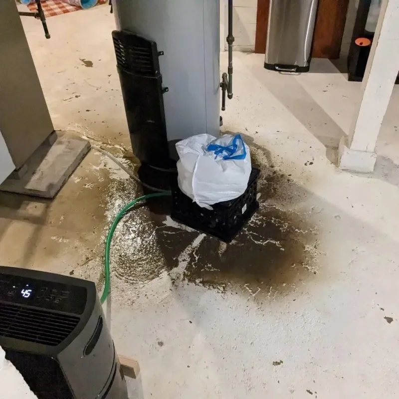 Sewage Backup Cleanup Service in Monroe, NC